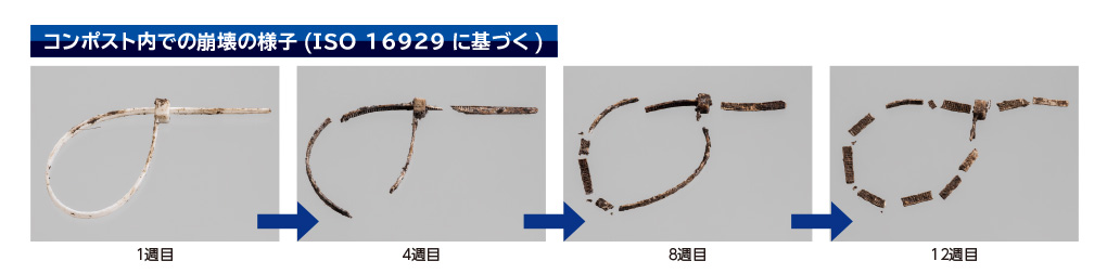 コンポスト内での崩壊の様子