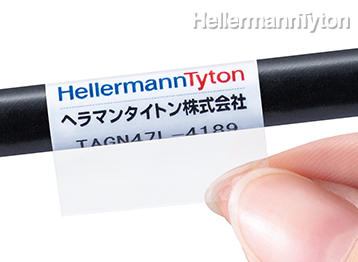 tagn47l-4189_1.jpg